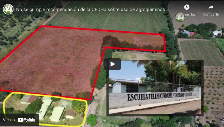 No se cumple recomendación de la CEDHJ sobre uso de agroquímicos￼