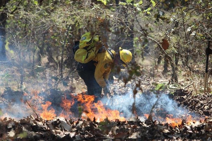 Ante condiciones climáticas Semadet pide a ayuntamiento de Tomatlán suspender quemas agrícolas