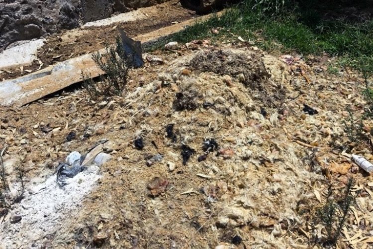 Proepa&nbsp;realiza cuatro clausuras
