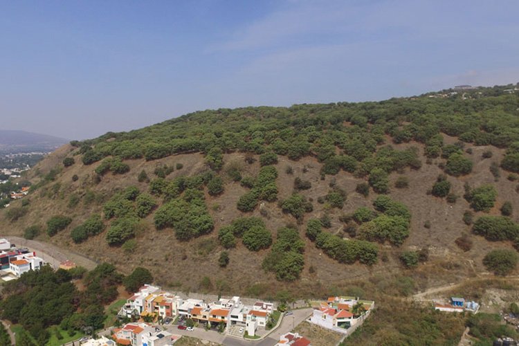 Gobierno de Lemus no tiene metas claras en materia ambiental