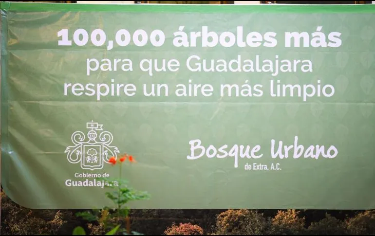 Extra AC y GDL regalarán 100 mil árboles con la meta de ser la ciudad más ‘verde’