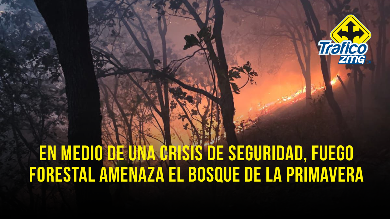 Brigadistas combaten incendios forestales en Tlajomulco y Tala