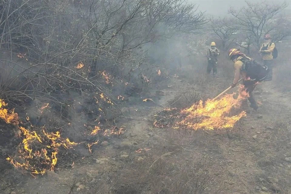Suman 12 incendios en el Bosque de la Primavera en 2026