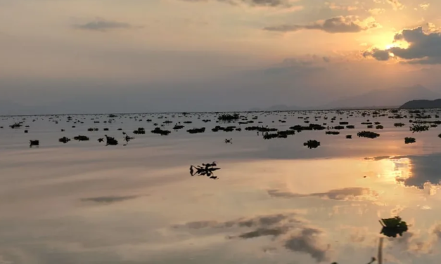 Piden frenar la contaminación de Chapala ante la crisis del agua en Guadalajara